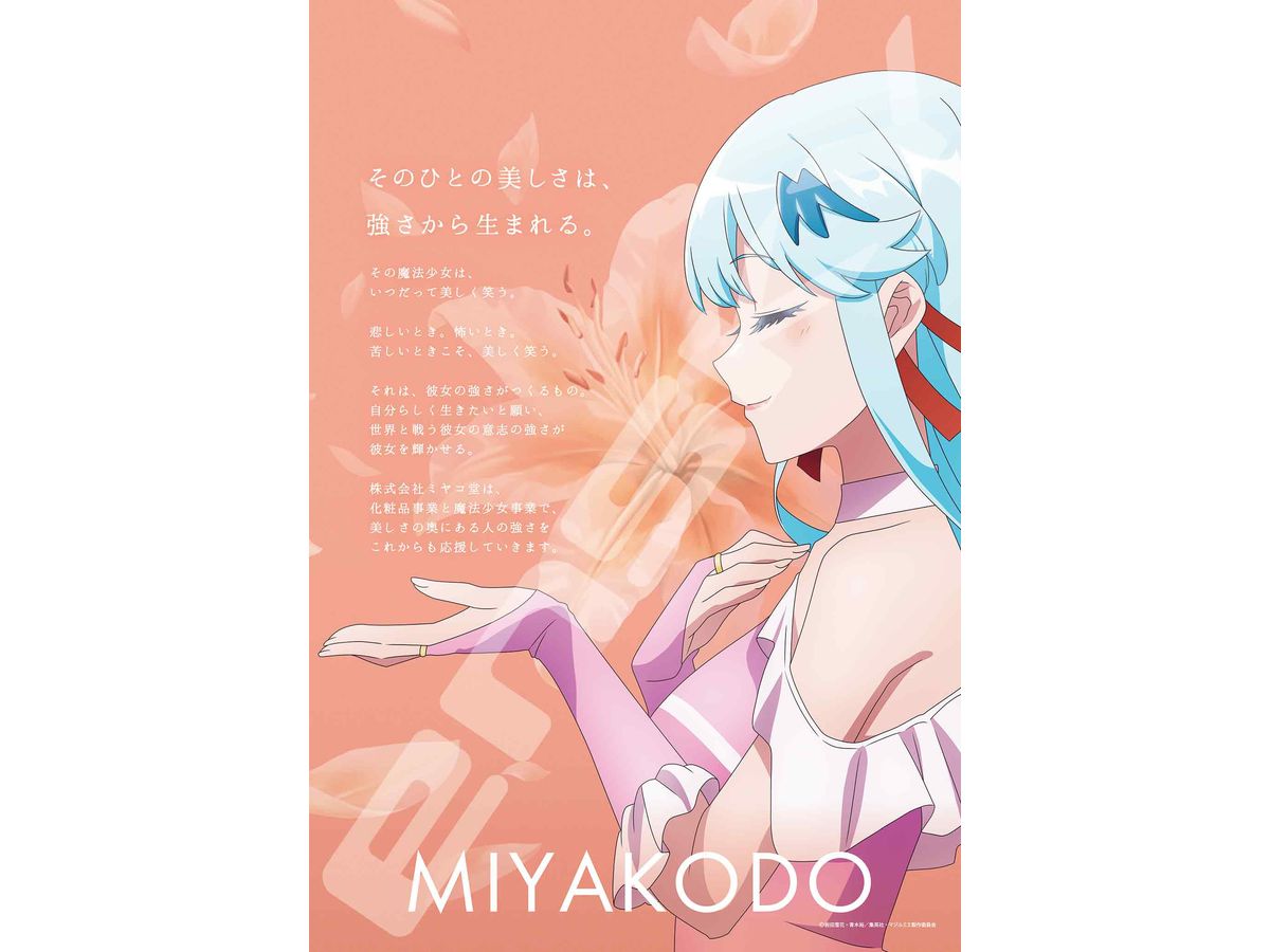 Magilumiere Co. Ltd. Jigsaw Puzzle 300 Pieces 300-3152 Company Introduction - Miyakodo Co. Ltd. - (260 X 380mm)