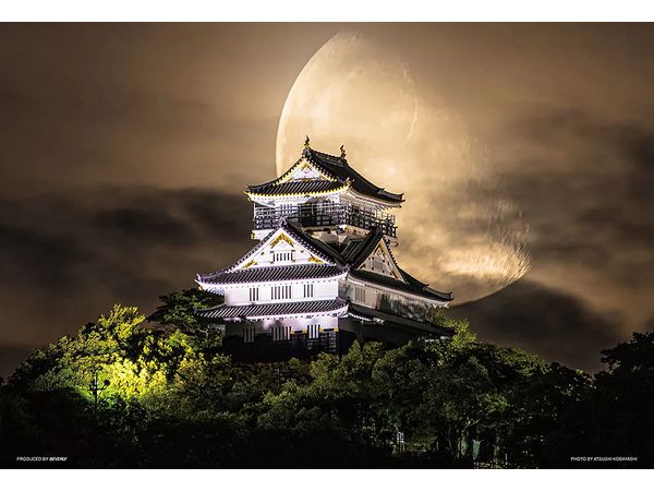 Gifu Castle in the Moonlight 300pcs (380mm x 260mm)