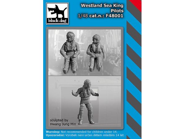 Westland Sea King pilots