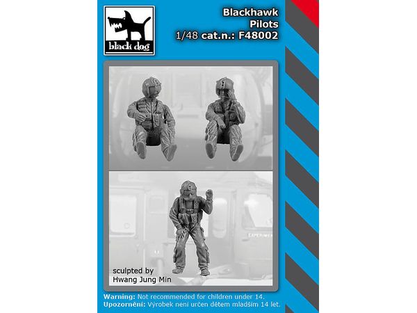 Black Hawk pilots