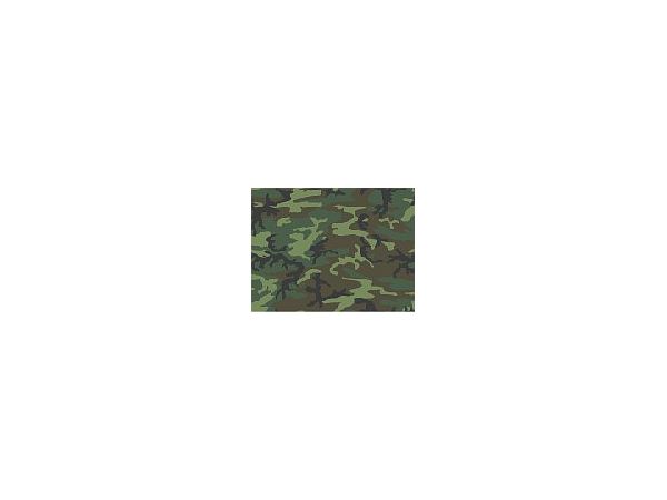 ERDL Lowland