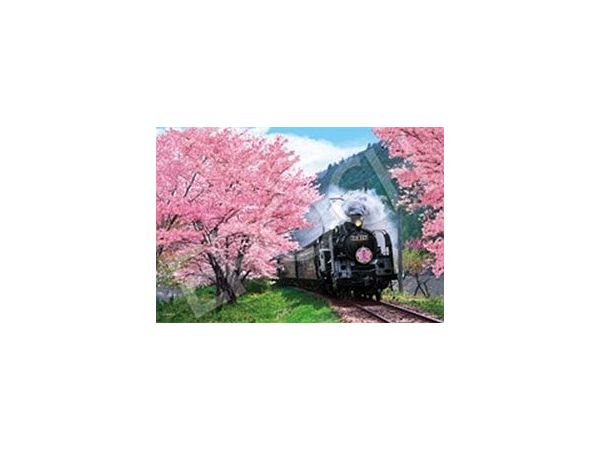 Cherry Blossoms and Oigawa Railway - Shizuoka 300 Pieces (260 x 380mm)
