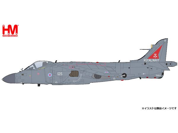 Sea Harrier FA.2 ZH804, Royal Navy, Fairford 2002 (w/ Sea Eagle missiles)