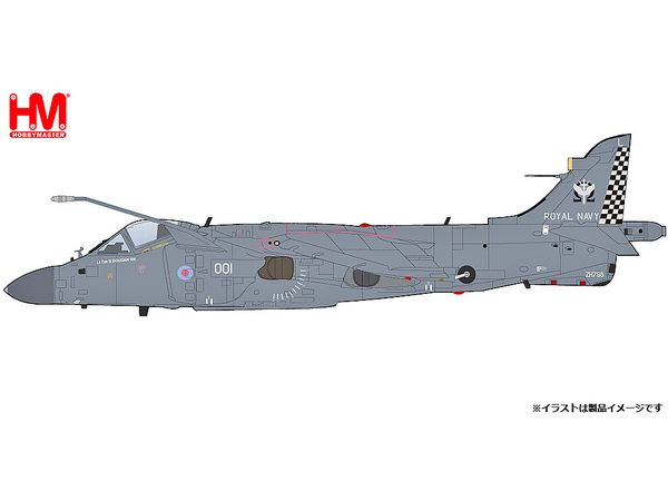 Sea Harrier FA.2 ZH796, Royal Navy, 2018 (w/ Sea Eagle missiles)
