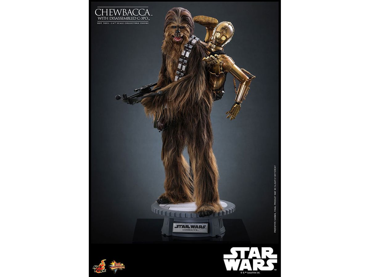Movie Masterpiece - Fully Poseable Figure: Star Wars / Episode V The Empire Strikes Back - Chewbacca & C-3PO (Disassembled)