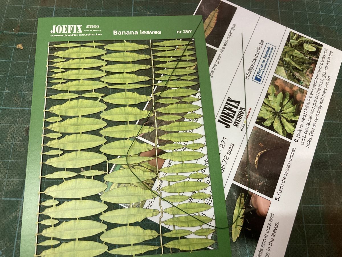 Banana Leaf New Leaf (1/48-72)