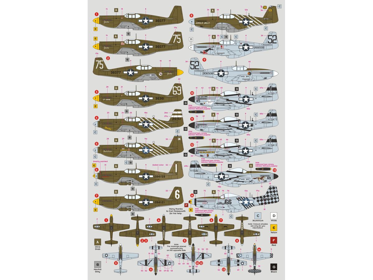 10th Air Force Mustangs over Burma and India