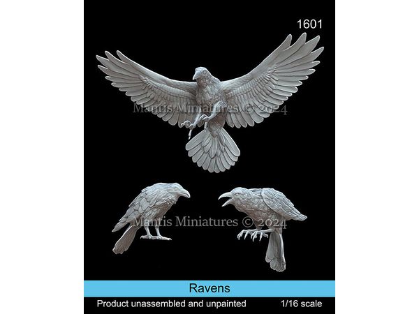 Animals Set Ravens