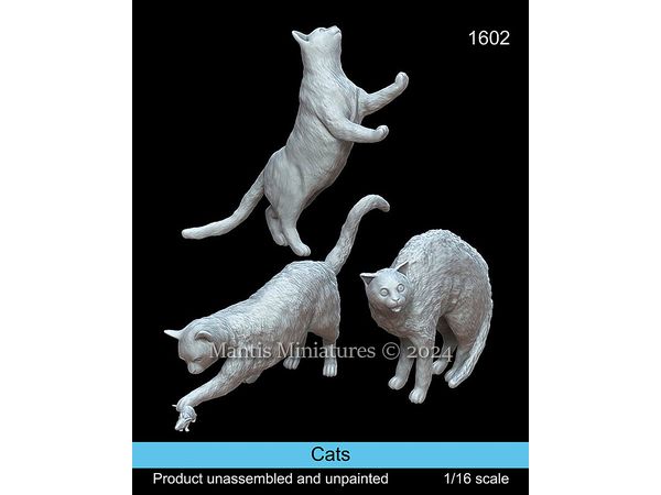Animals Set Cats