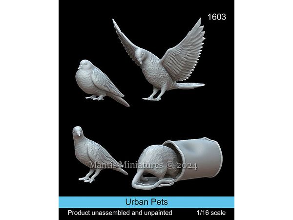 Urban Pets