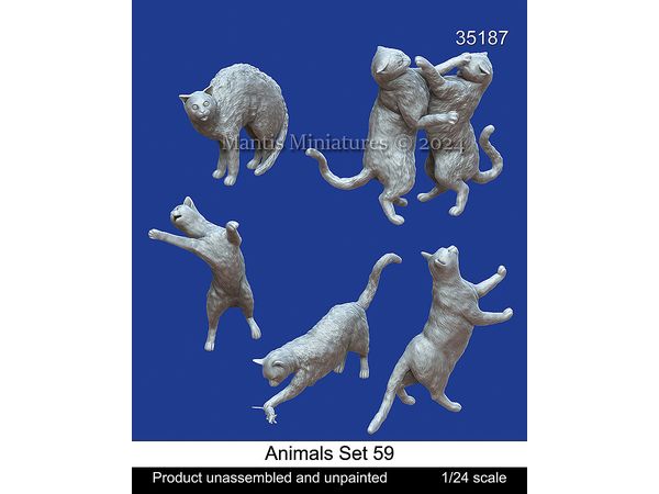 Animals Set 59 Cat