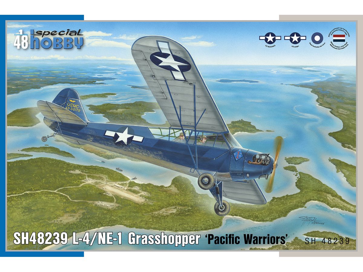L-4/NE-1 Grasshopper Pacific Warriors