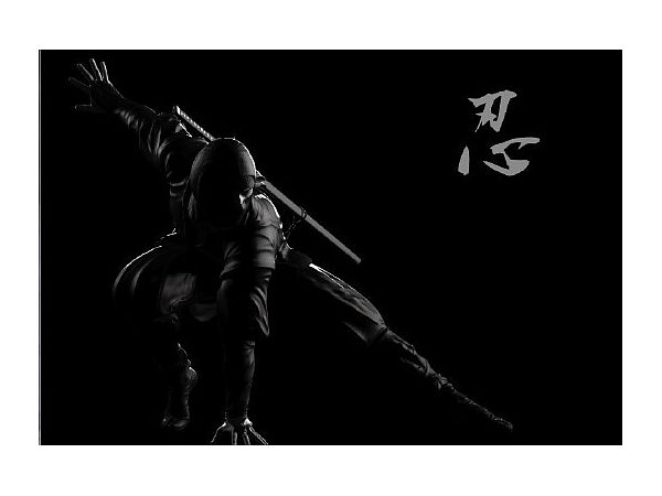 Great Shinobi Puzzle 300pcs (260mm x 380mm)