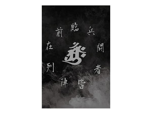 Shinobi Puzzle Extreme 204pcs (100mm x 147mm)