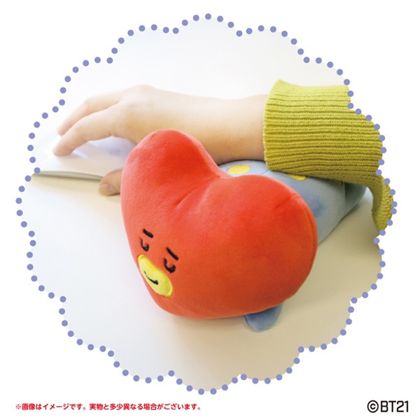bt21 pillow tata