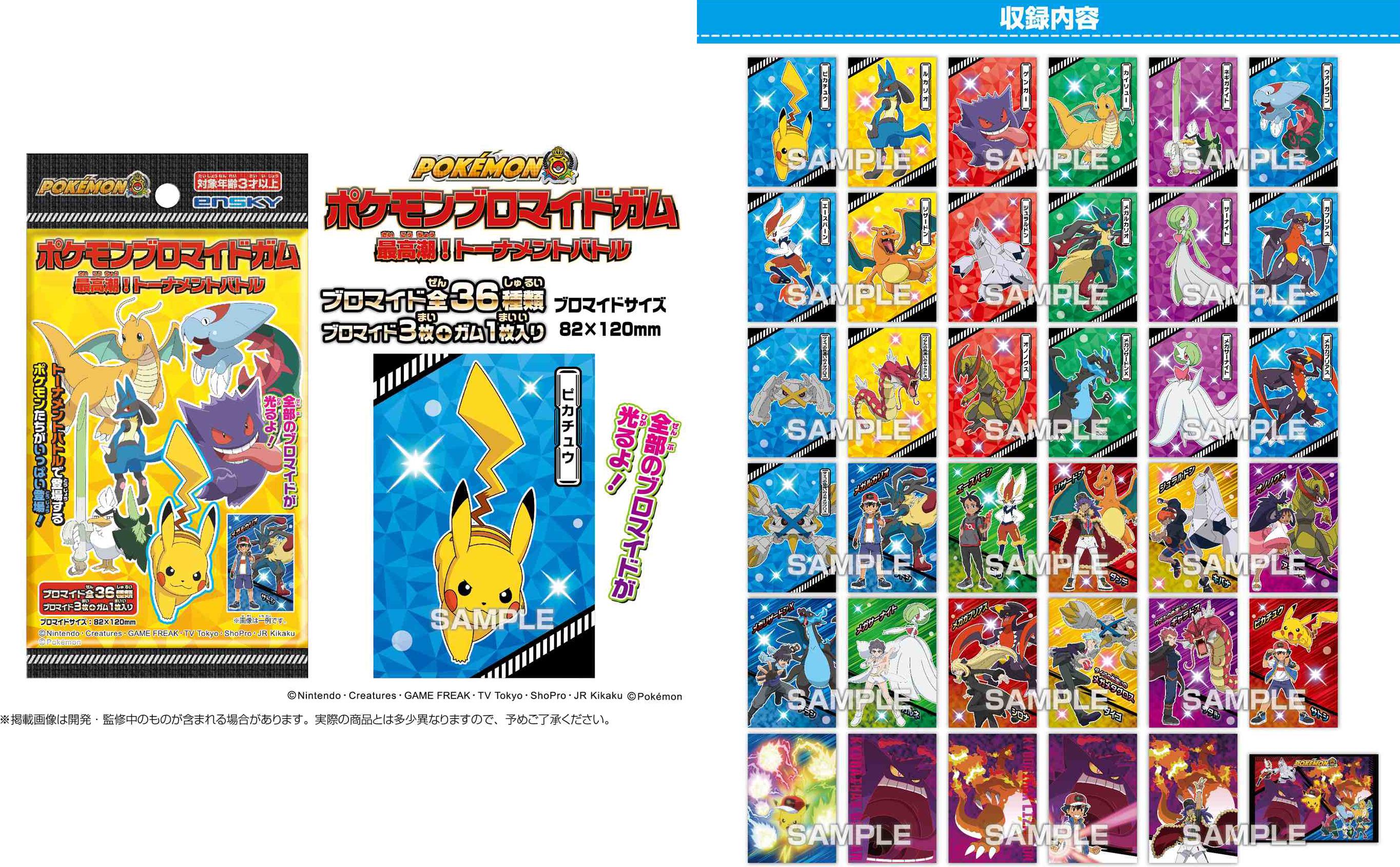 Mega Charizard X Tournament Battle Bromide Gum Card Holo Pokemon Japanese  ENSKY