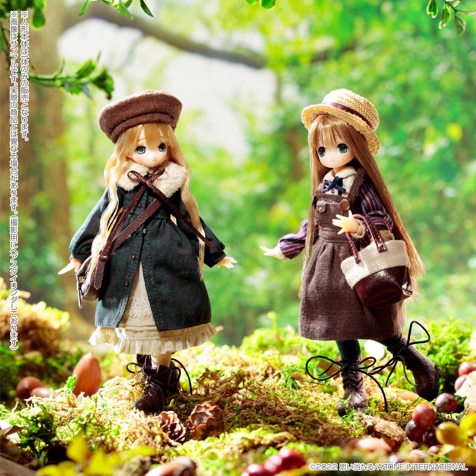Picco EX CUTE Komorebi Forest Small Animals Squirrel / Chiika