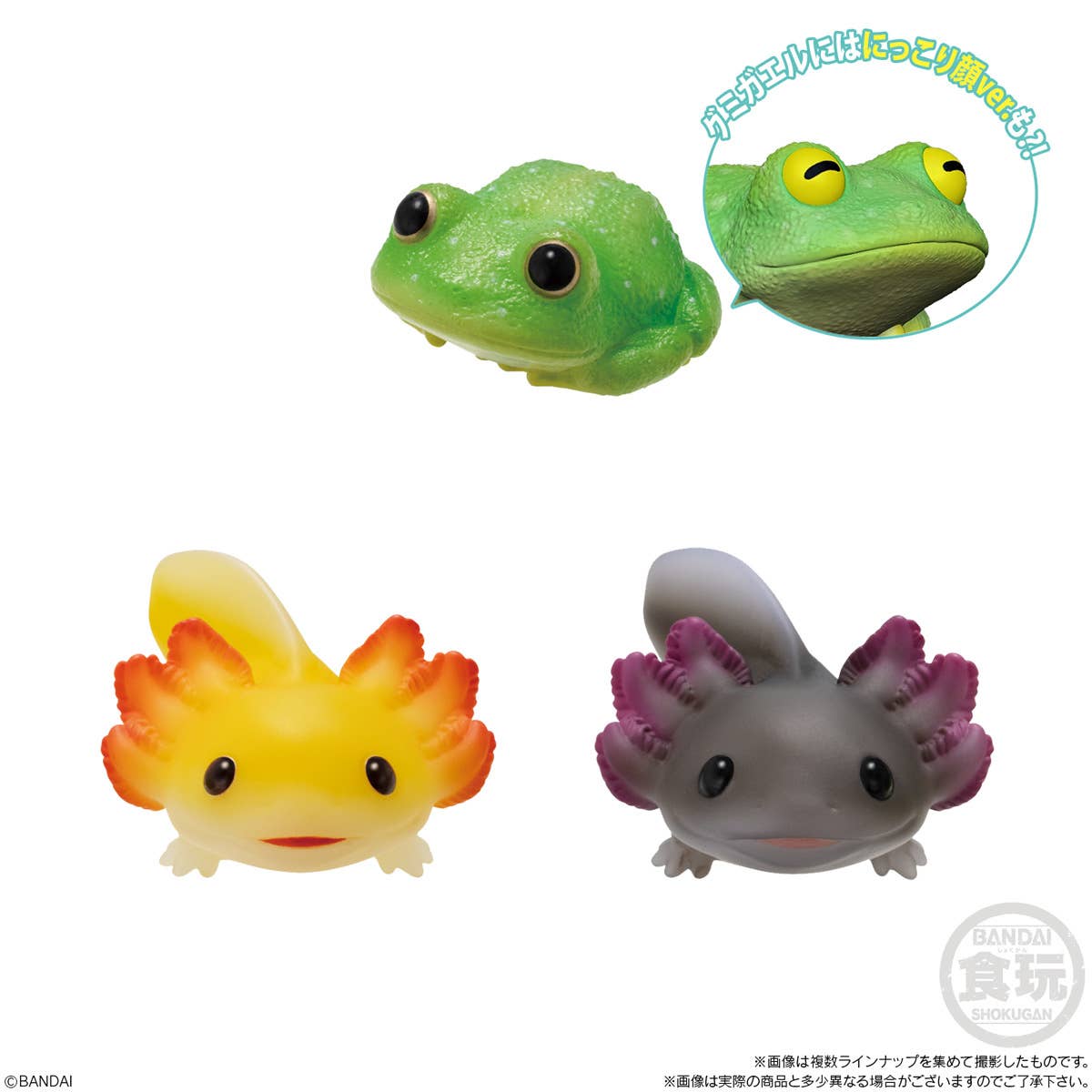 Tenori Friends 11 -Reptiles / Amphibians-: 1Box (12pcs) | HLJ.com Tenori Friends 11 -Reptiles / Amphibians-: 1Box (12pcs) | HLJ.com