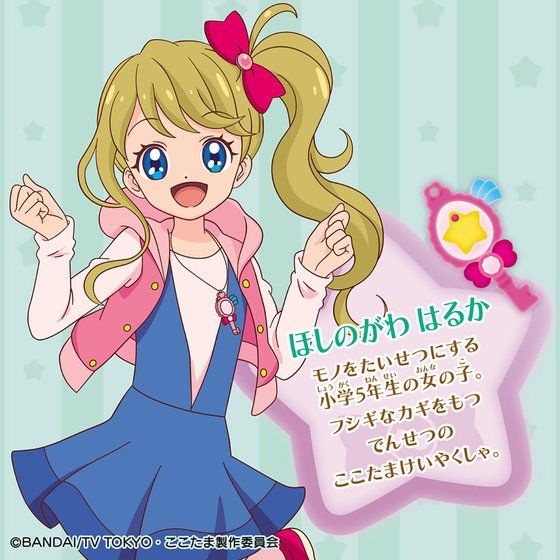 楽天市場】自然派宣言 ☆アマニシード 50g 《小鳥用