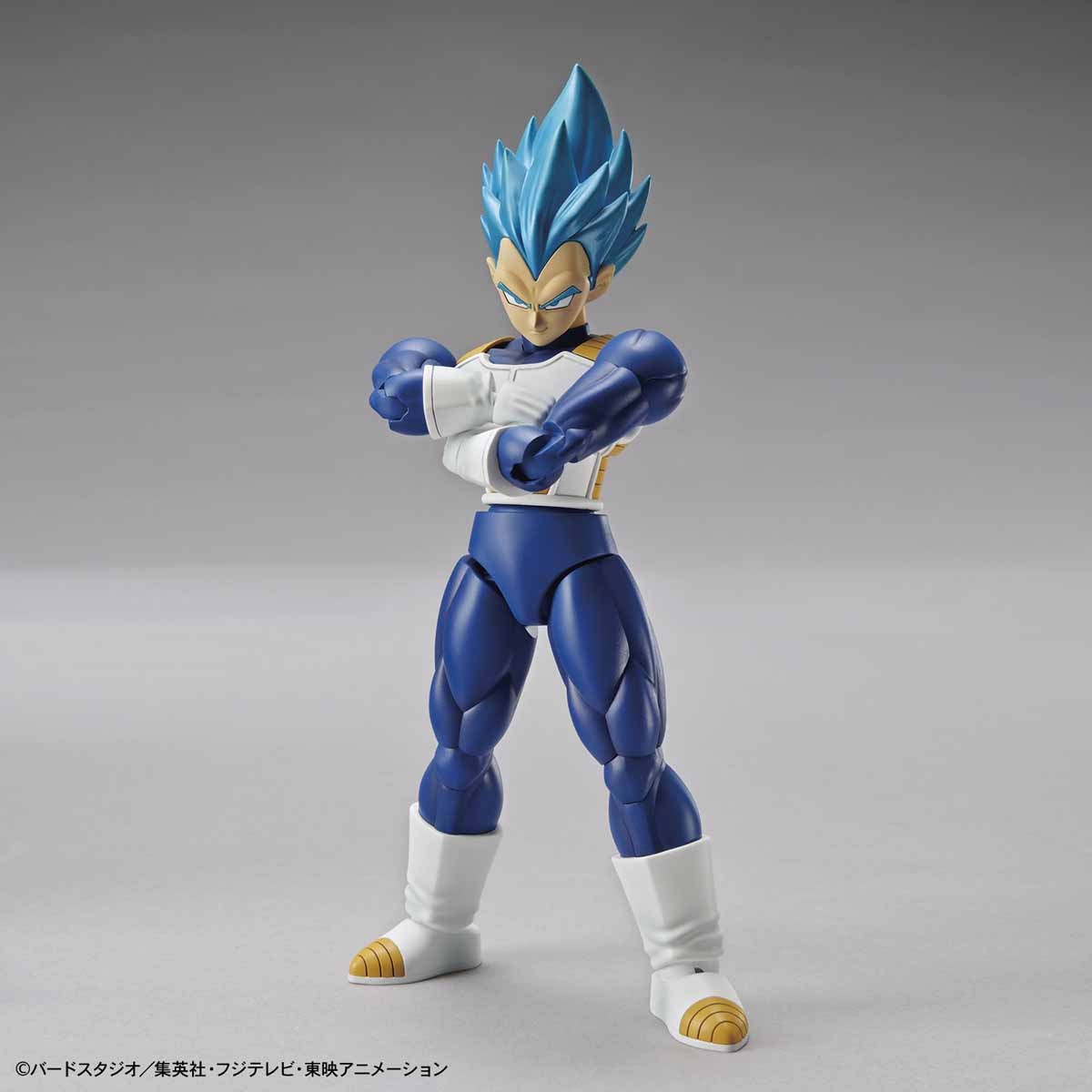 Figure-rise Standard Super Saiyan God Super Saiyan Vegeta (Renewal Ver ...