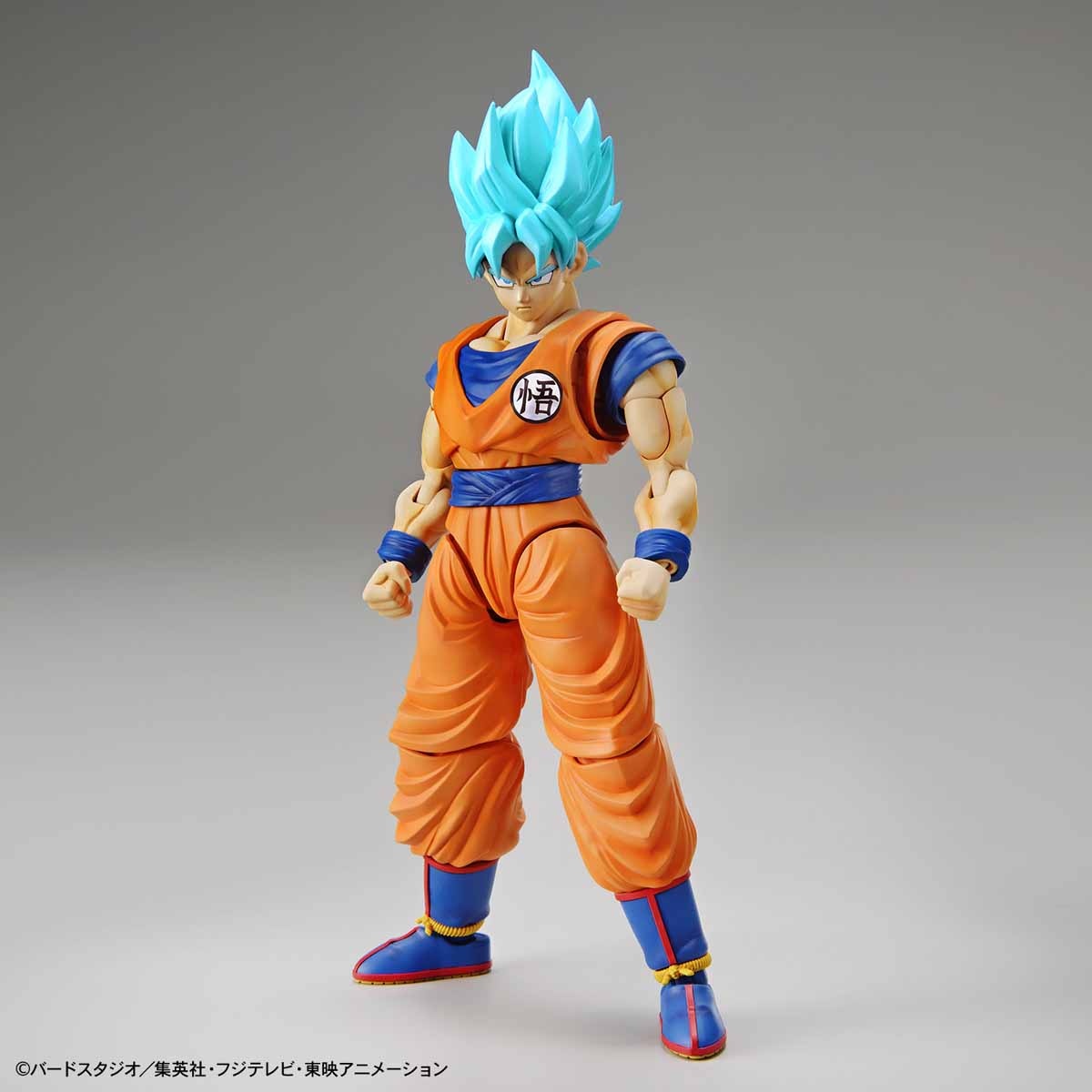 Entry Grade Model Kit Super Saiyan God Son Goku