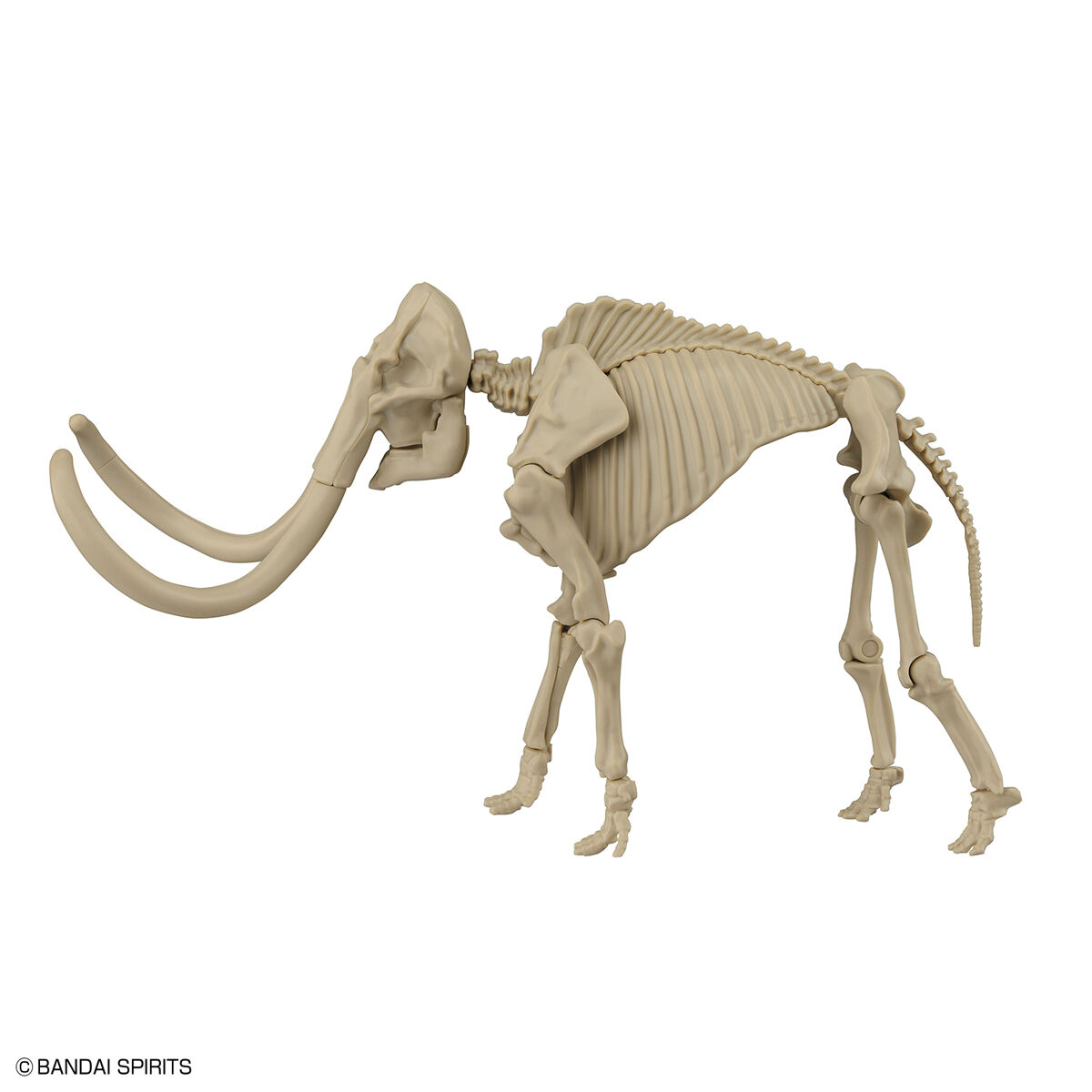 Kit Modello Mammut – Exploring Lab Nature – Modellino Da Costruire Per Bambini, Creativo E Didattico
