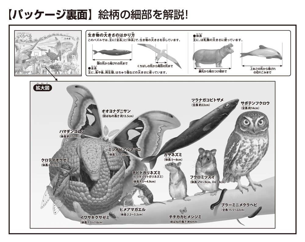 Jigsaw Puzzle Comparison Pictorial Book More Various Size Comparison