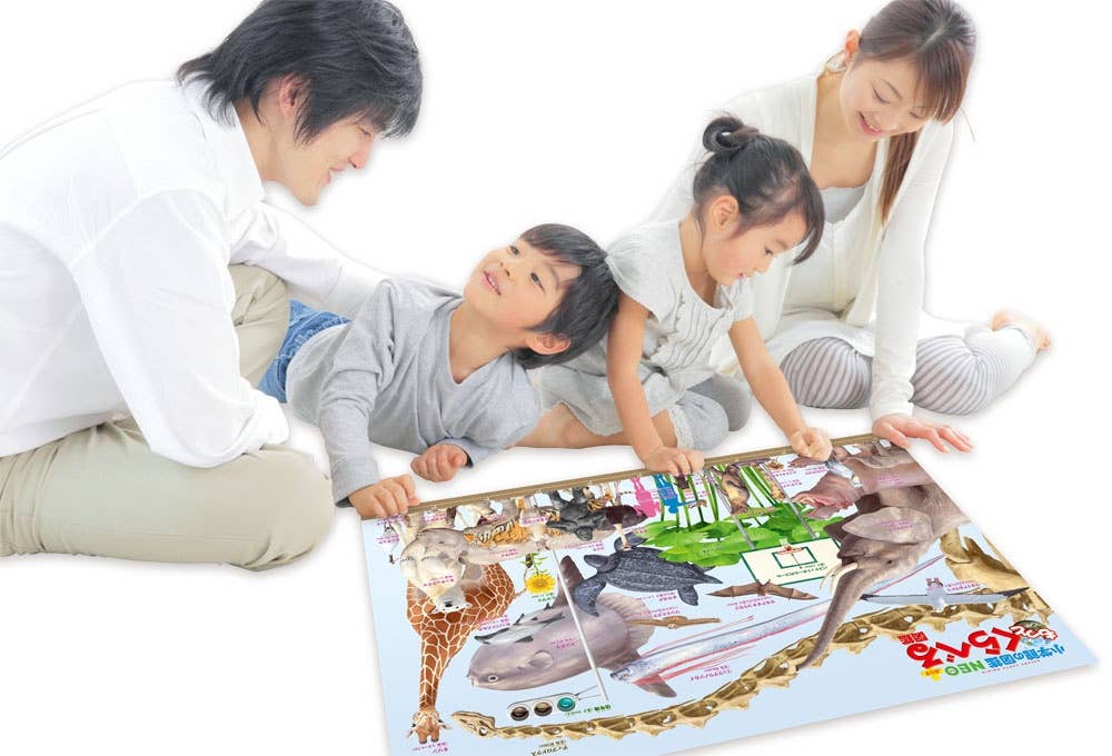 Jigsaw Puzzle Comparison Pictorial Book More Various Size Comparison