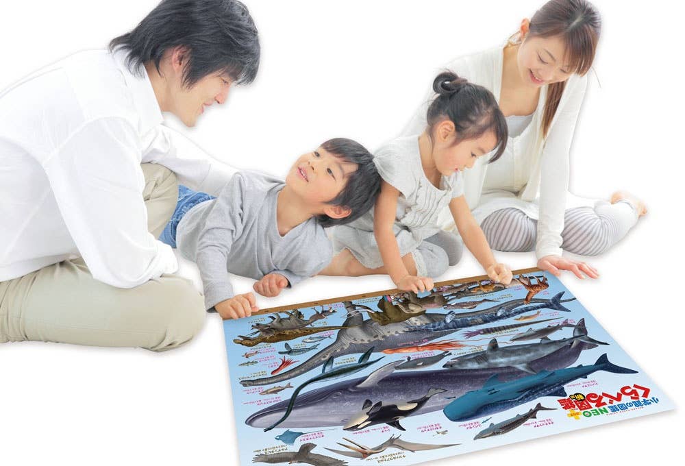 Jigsaw Puzzle: Comparison Pictorial Book [New Edition] Huge Living