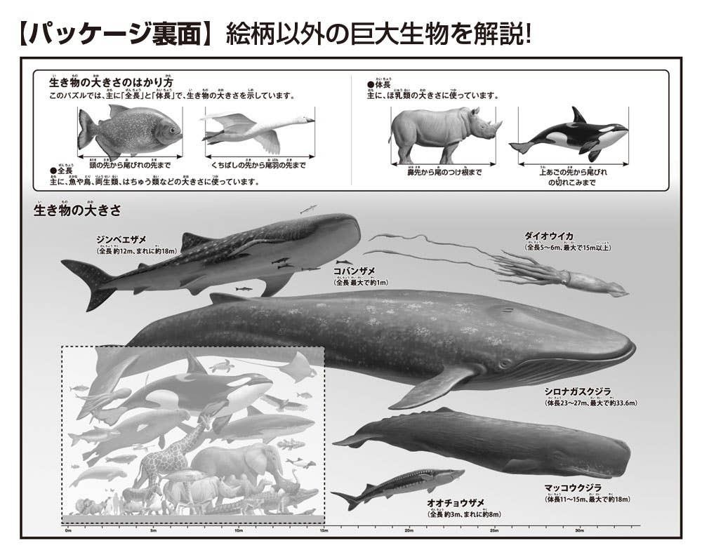 Jigsaw Puzzle Comparison Pictorial Book [New Edition] Living Things
