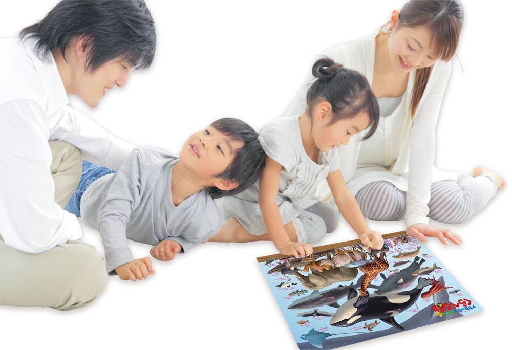 Jigsaw Puzzle Comparison Pictorial Book [New Edition] Living Things