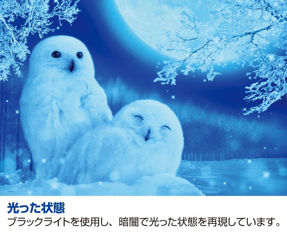 White_OwL♡ On Cloudmonster Men's All White – Holabird Sports