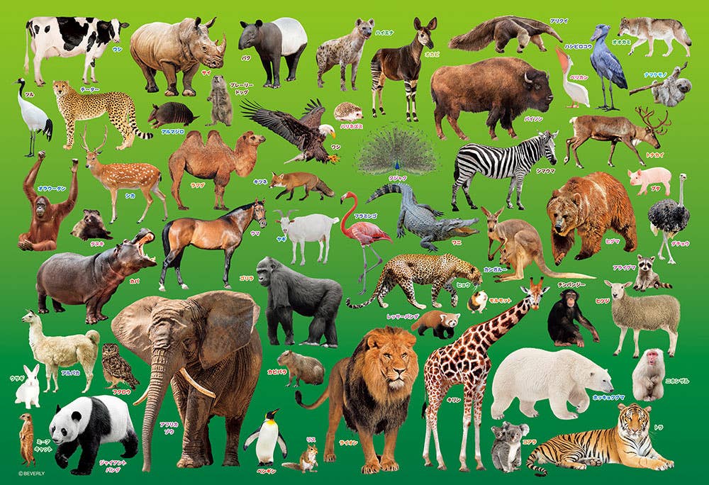 Jigsaw Puzzle Zoo 100pcs (38 x 26cm)
