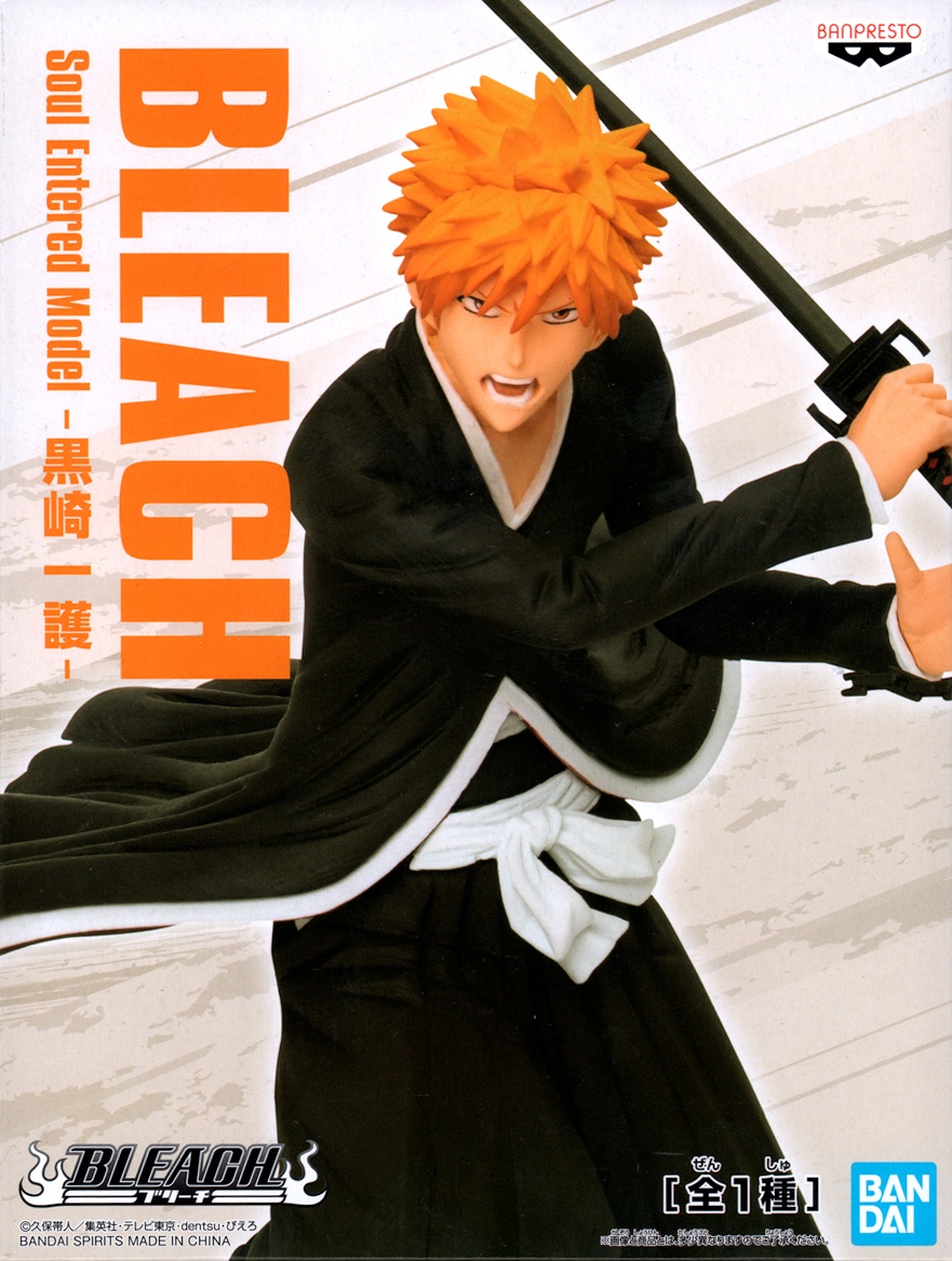 bleach soul entered model