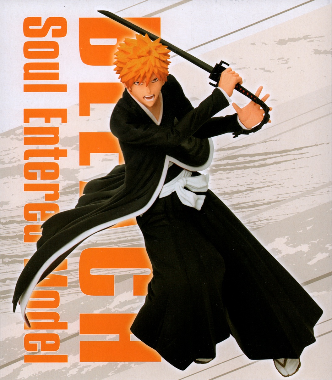 bleach soul entered model