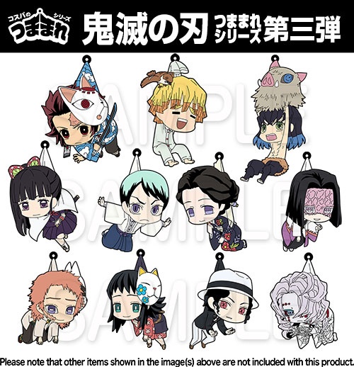 Kimetsu no Yaiba - Agatsuma Zenitsu - Hashibira Inosuke - Kamado Tanjirou -  Kyoudai no Kizuna/Natagumoyama-hen Teikyou Illustration Duplicated Mini  Shikishi Kuji - Mini Shikishi (Ufotable)