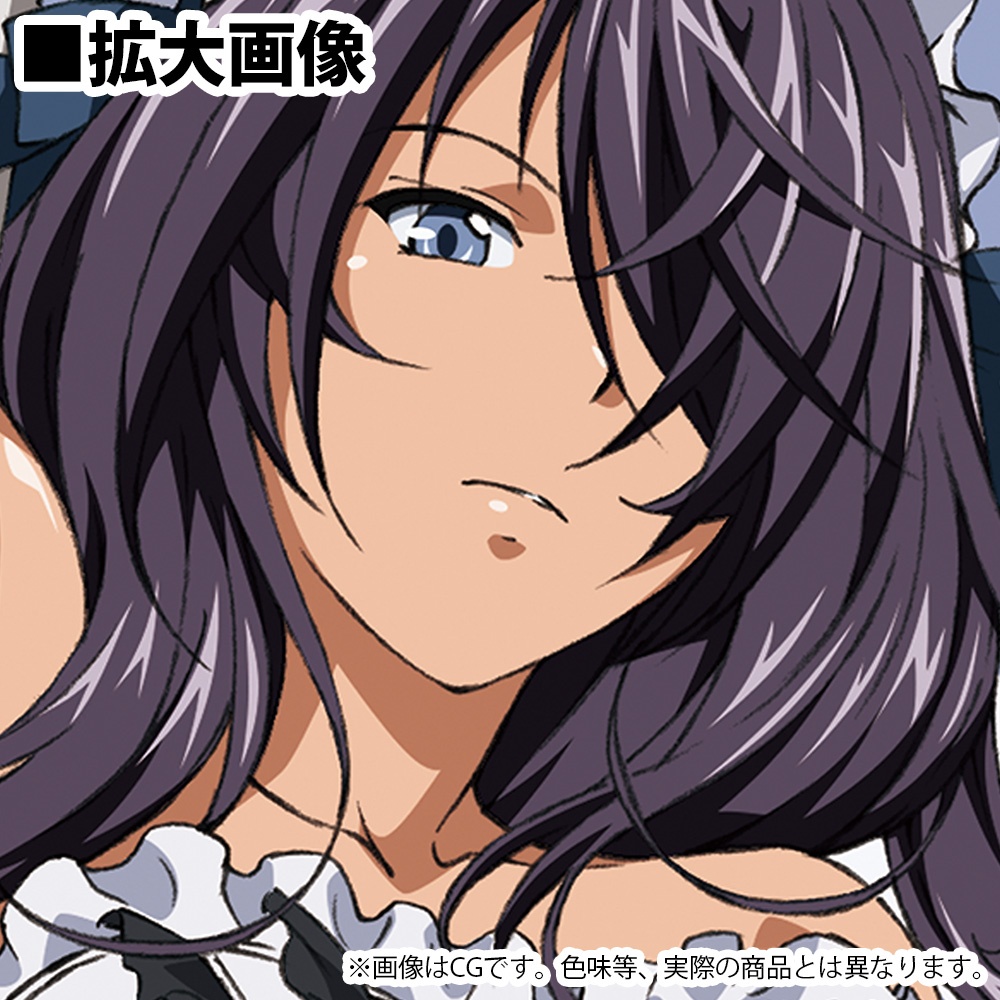 Shin Ikki Tousen: Drawn by Uncho Kan'u Dakimakura cover (2way tricot)