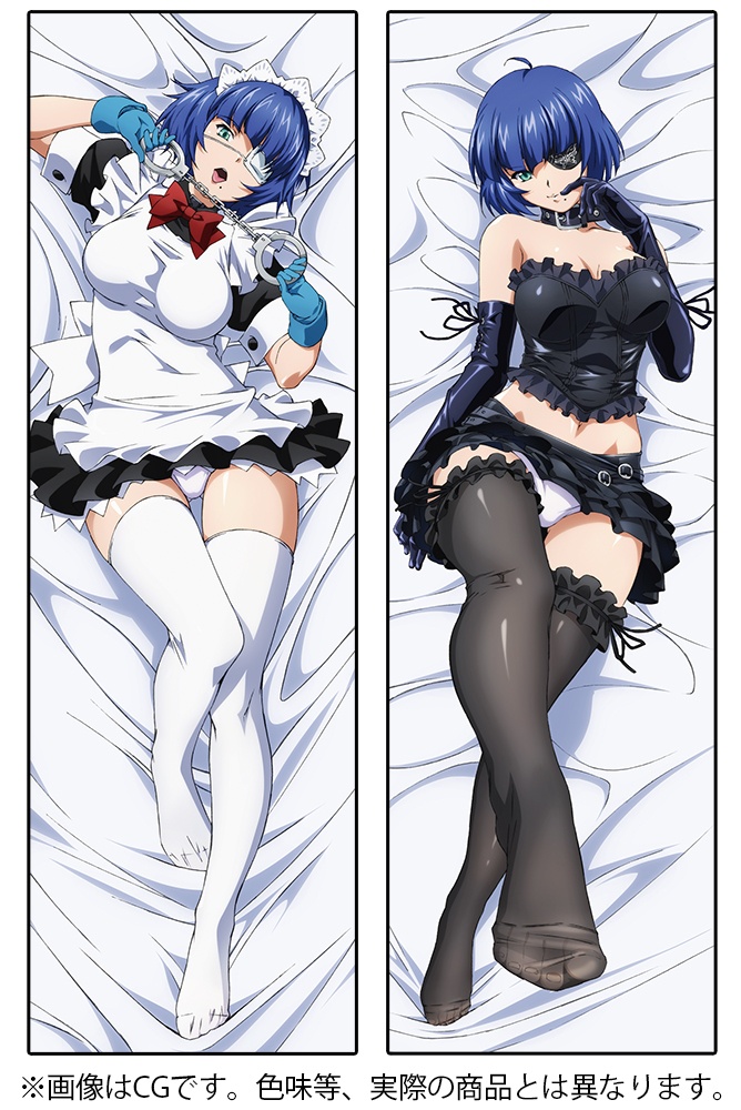 Shin Ikki Tousen [Especially Illustrated] Uncho Kan`u Dakimakura