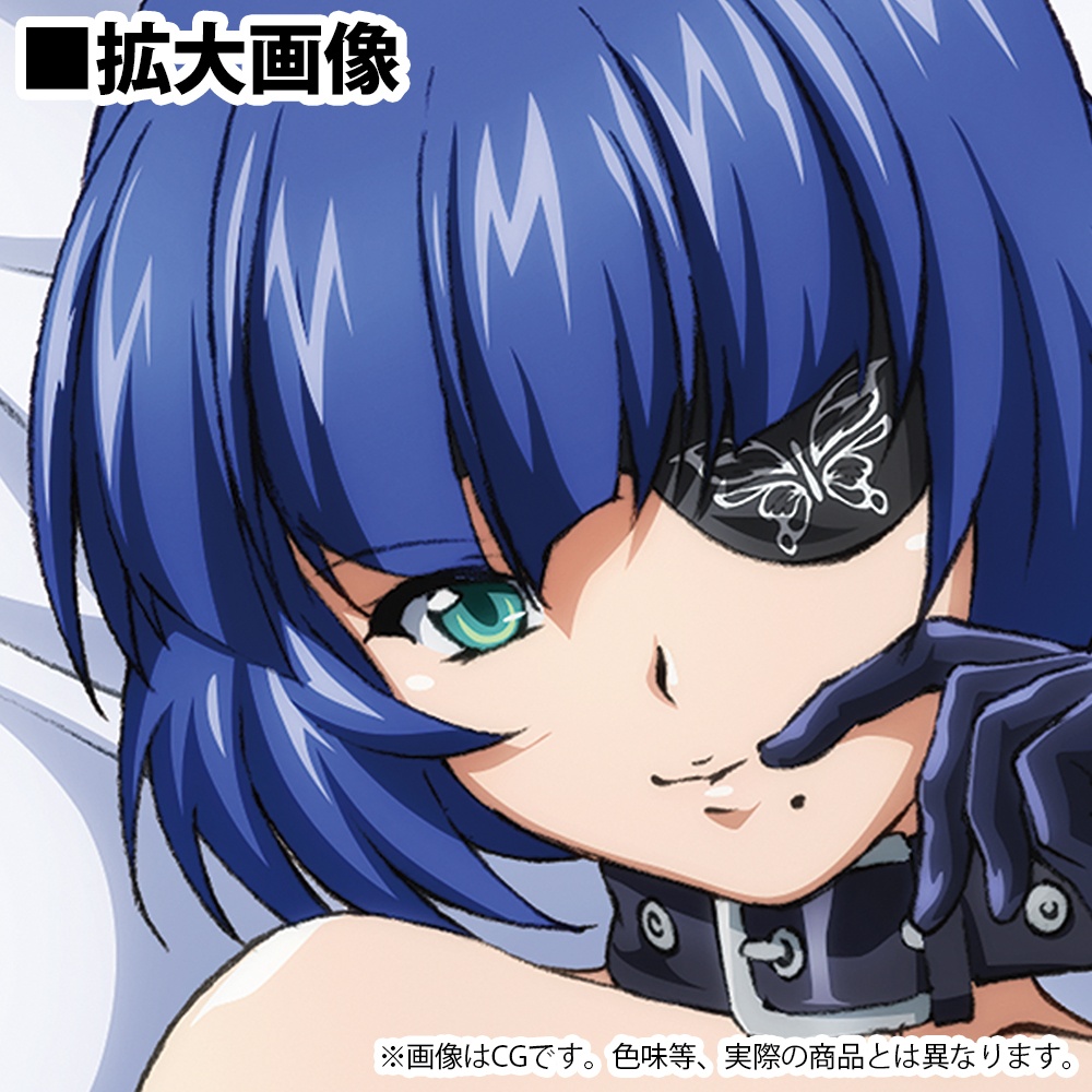 Shin Ikki Tousen: Drawn by Shimei Ryomou Dakimakura cover (2way tricot)