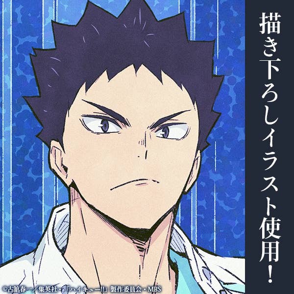 Haikyu!! Drawn by Iwaizumi Hazime Acrylic Art Stand Hisyo Ver.