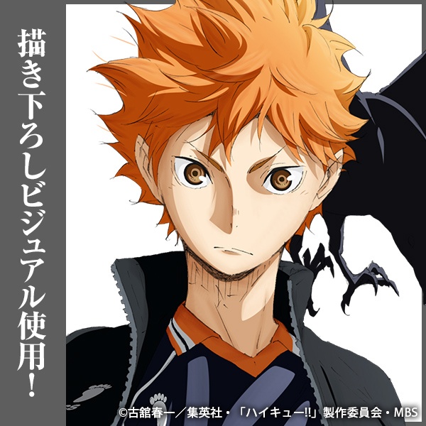 Haikyuu!! Happinet Online Limited Edition Acrylic Stand Hinata Shoyo