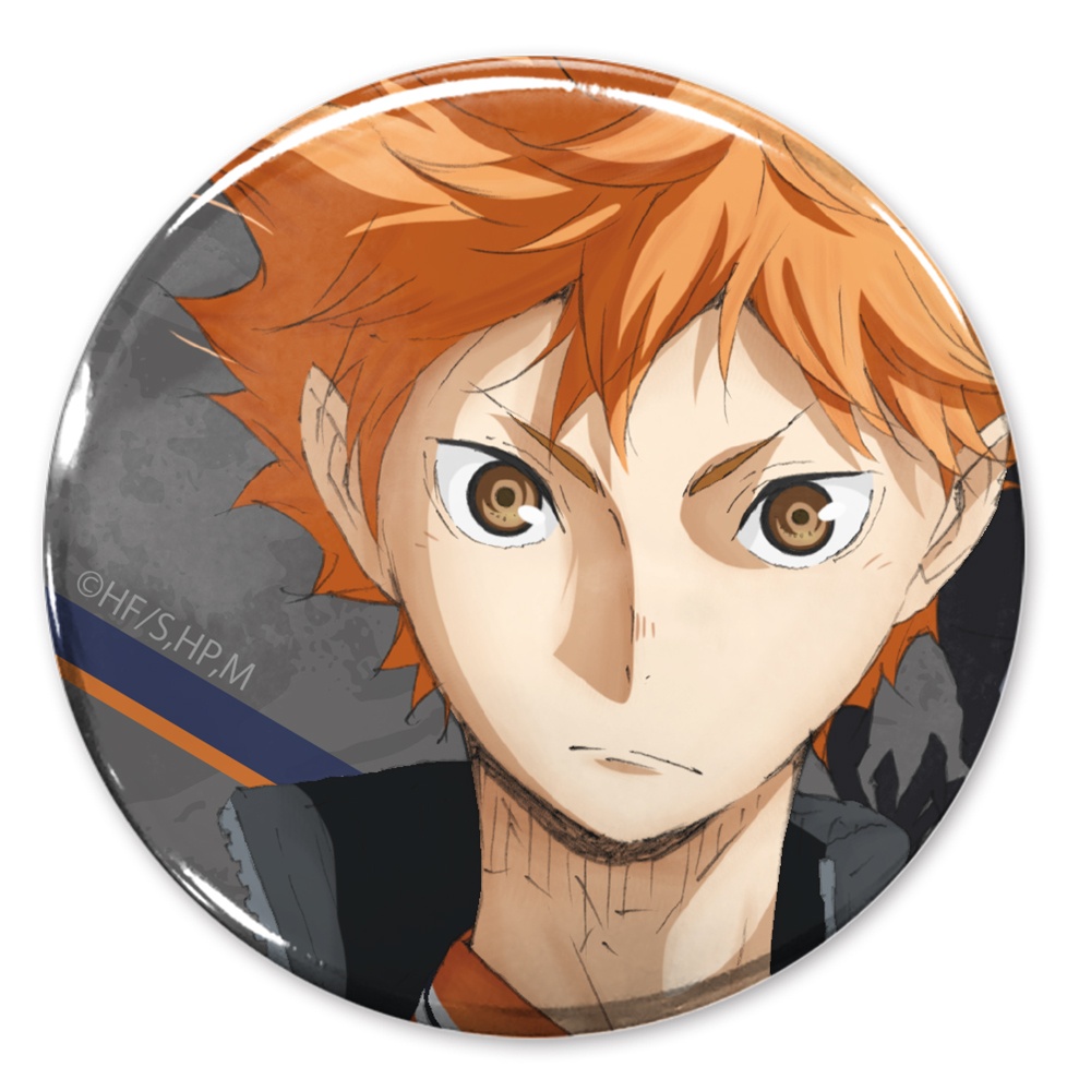 Shôyô Hinata Haikyuu Anime Character Paint By Numbers 