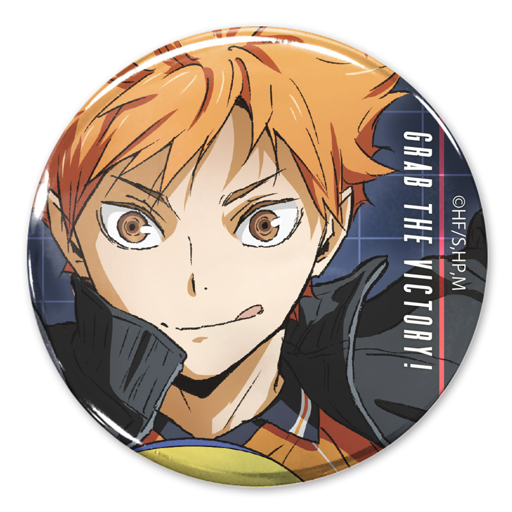 Kit Festa m Haikyuu! Anime