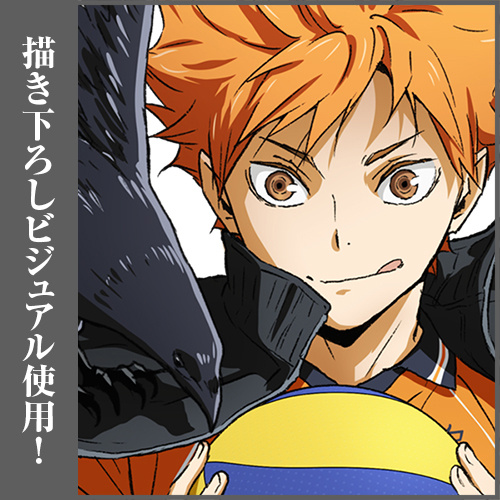 Kit Festa m Haikyuu! Anime