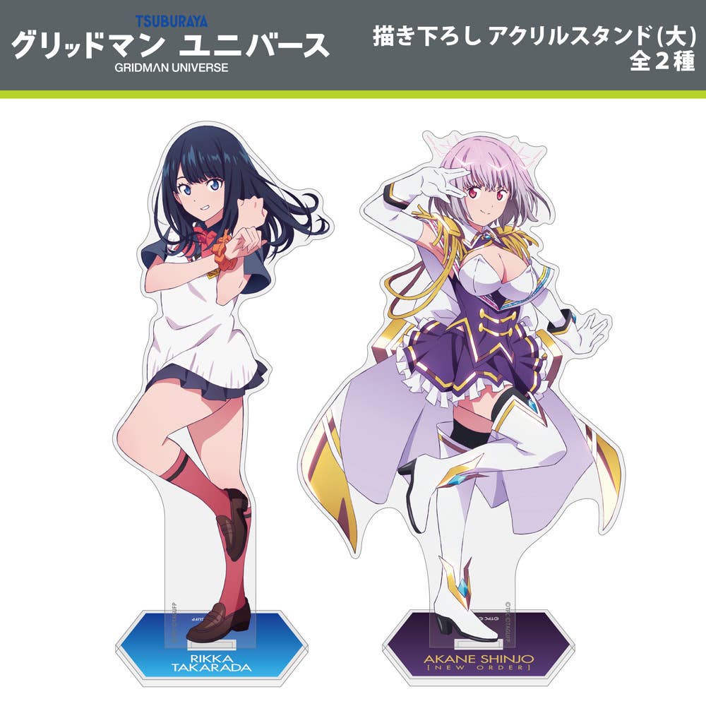 Gridman Universe: Newly Drawn Rikka Takarada Acrylic Stand (Large