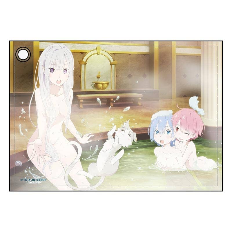 Re:Zero - Starting Life in Another World: Synthetic Leather Pass