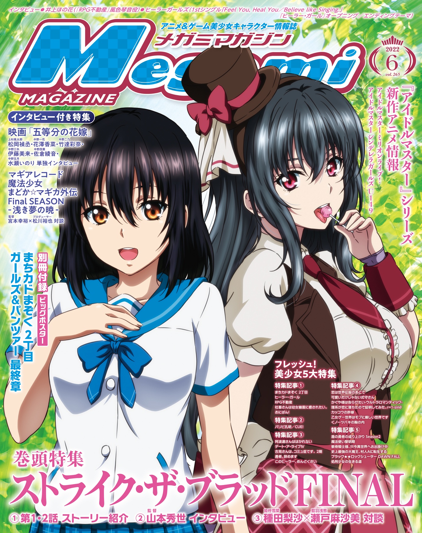 NEW' Megami MAGAZINE DELUXE Vol.29 / Japanese Anime Girls