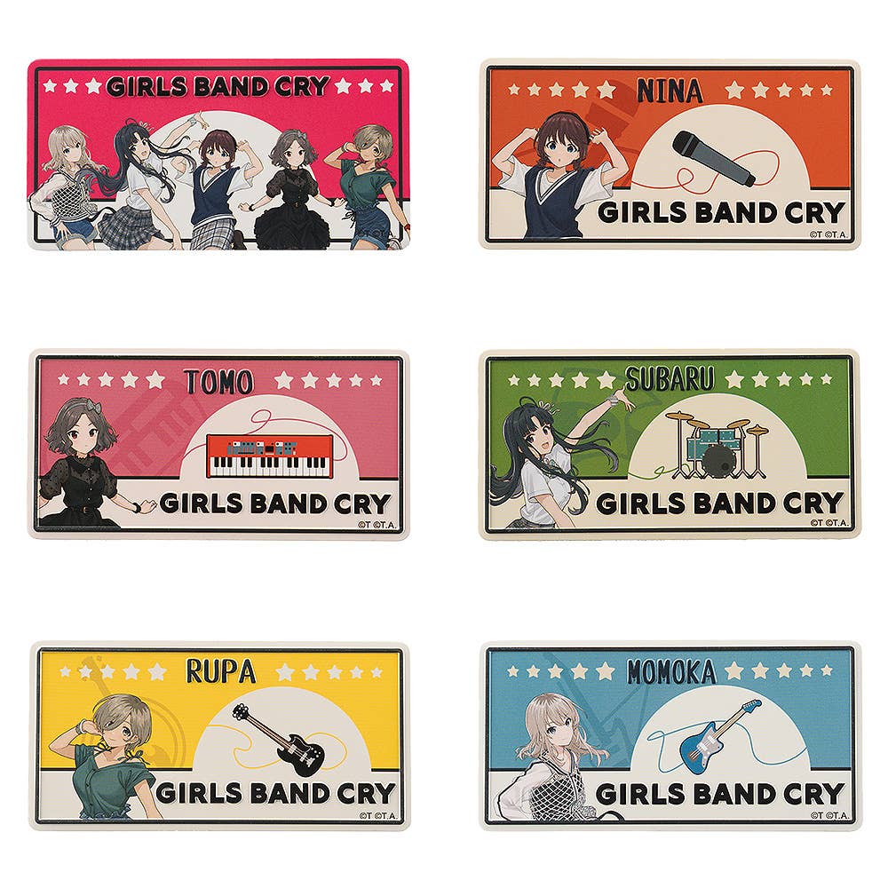 GIRLS BAND CRY Collectible Number Plate Inspired Magnet (Total of