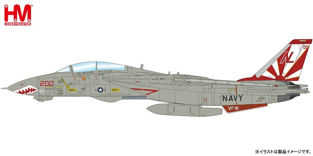 Grumman F-14A Tomcat Super CAG 160660, VF-111 Sundowners, USS Carl