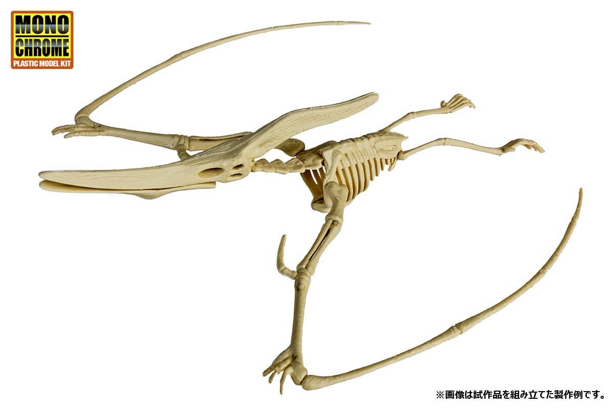 Dinosaur Fossil Excavation Model Pteranodon